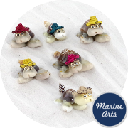 8138 - Mini Cowry Turtles